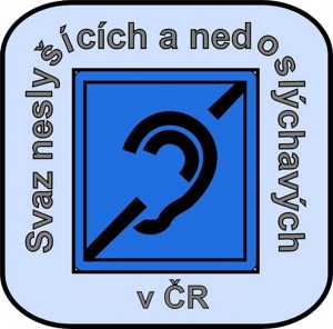 SNN logo
